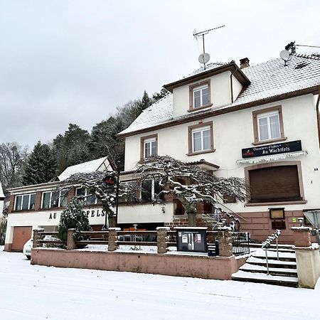 Au Wachtfels Panzió Obersteinbach Kültér fotó