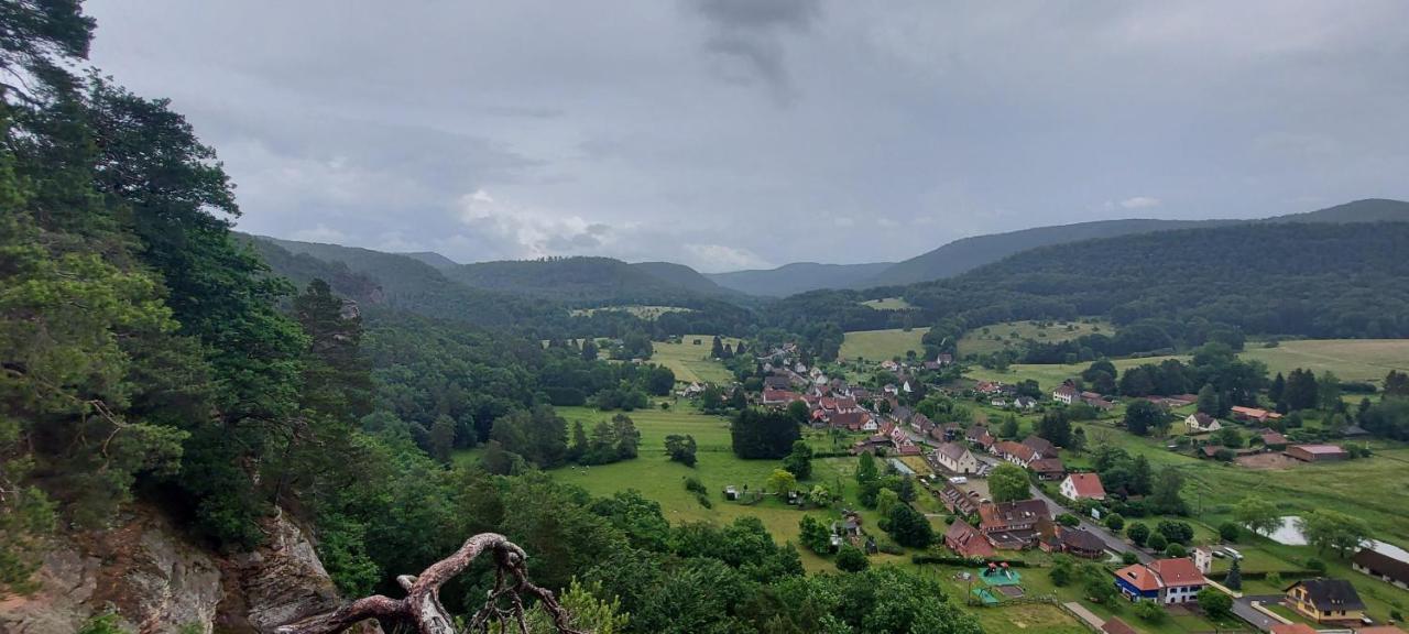 Au Wachtfels Panzió Obersteinbach Kültér fotó